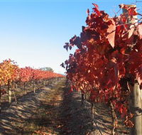 Kooyonga Creek Wines - Accommodation Europe