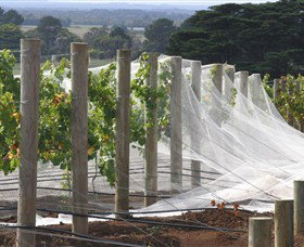 Paradigm Hill - Events Australia 1