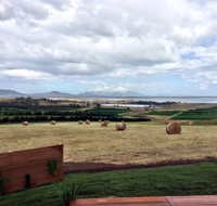 The Hazards Vineyard - Devil's Corner - Tourism Bookings