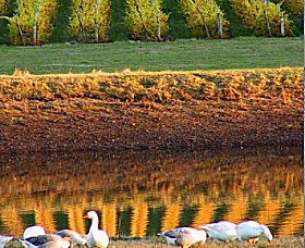 Pipers Brook Vineyard - Events Australia 0