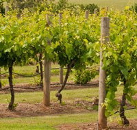 Mt Coghill Vineyard - Tourism Bookings