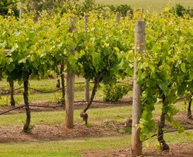 Mt Coghill Vineyard - Events Australia 0