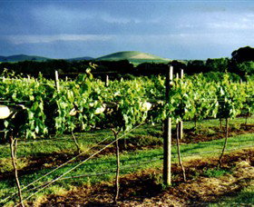 Mt Coghill Vineyard - Events Australia 1