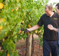 Fratin Brothers Vineyard - Events Australia