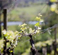 Whistling Eagle Vineyard - Events Australia