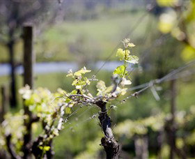 Whistling Eagle Vineyard - Events Australia 0
