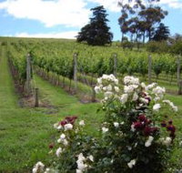 Pembroke Estate Vineyard - Events Australia