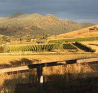 Optimiste Wines - Events Australia