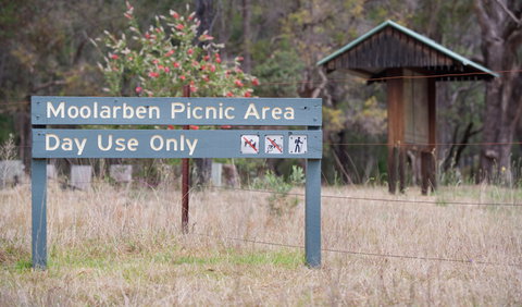 Moolarben Picnic Area - Events Australia 1