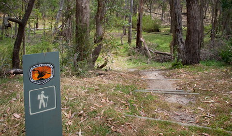 Moolarben Picnic Area - Events Australia 0