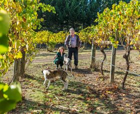 Koriella VIC Events Australia