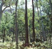Cathedral Range State Park - Events Australia