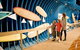 Surfworld Museum Torquay - thumb 0