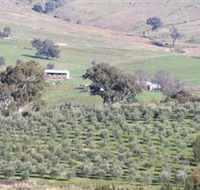 Wymah Organic Olives and Lambs - Events Australia