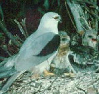 Bushy Park Wetlands - Events Australia