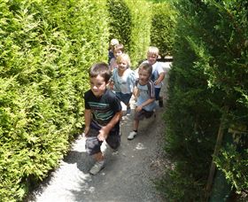 Hedgend Maze And Healesville Laser Sport - Events Australia 1