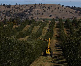 Rylstone Olive Press - Events Australia 2