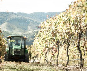 Logan Wines - Events Australia 5