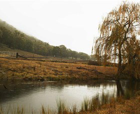 Logan Wines - Events Australia 6