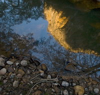 Abercrombie Karst Conservation Reserve - Events Australia