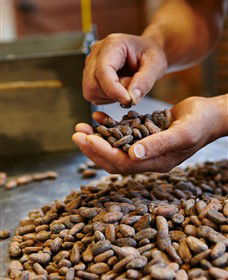 Bright Chocolate - Events Australia 3