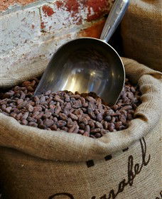 Bright Chocolate - Events Australia 5