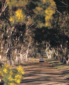 Kirk Rock ACT Events Australia