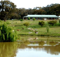 Clearview Alpacas - Events Australia