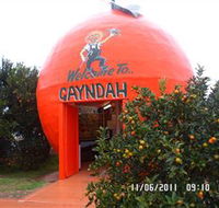 Gayndahs Big Orange - Events Australia
