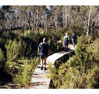 Hume and Hovell Walking Track - Henry Angel Trackhead - Events Australia