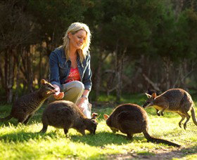 Pearcedale VIC Events Australia