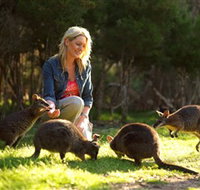 Moonlit Sanctuary Wildlife Conservation Park - Events Australia