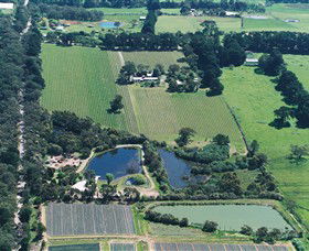 Ten Minutes By Tractor - Events Australia 2