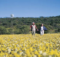Koolanooka Springs - Events Australia