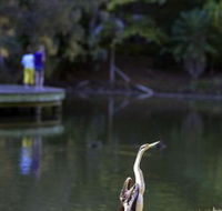 Birdwatching in the South Burnett - Events Australia
