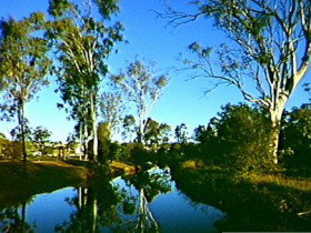 Dingo Creek Park - Events Australia 0