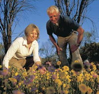 Canna Reserve - Events Australia