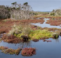 French Island National Park - Events Australia