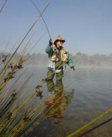 Lake Wallace - Events Australia 0