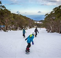 Mt Baw Baw Alpine Resort - Tourism Bookings