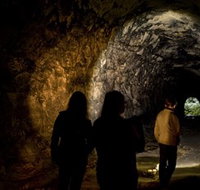 Newnes Plateau - Tourism Bookings