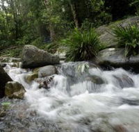 Washpool National Park - Events Australia