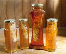 Odgers And McClelland Exchange Stores - Events Australia 1