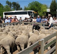 Gold Creek Station - Events Australia