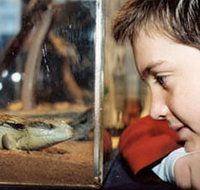Canberra Reptile Zoo - Events Australia