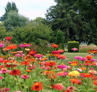 Alma Park - Events Australia