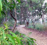 Mount Mutton Walking Trail - Events Australia