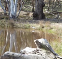 Mulligans Flat - Events Australia