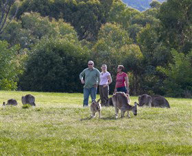 Tidbinbilla - Events Australia 1