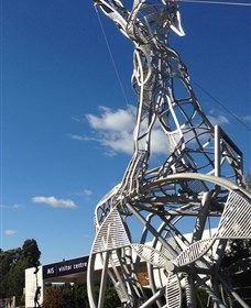 Australian Institute Of Sport (AIS) - Events Australia 0